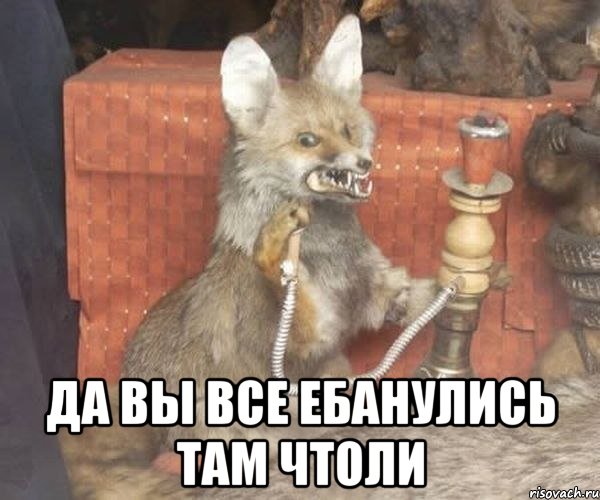 Обколются своей марихуаной