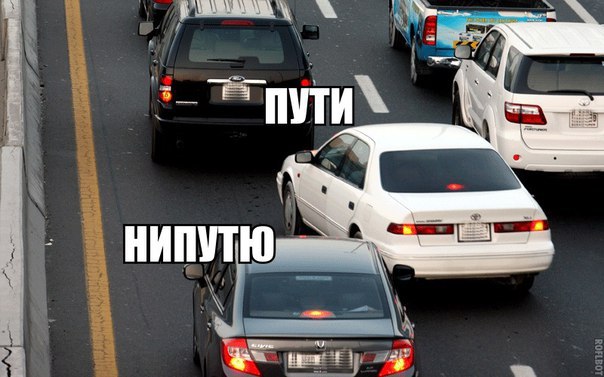 Подборка безудержного веселья