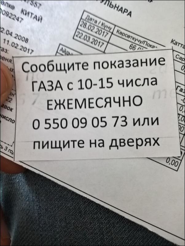 Перлы