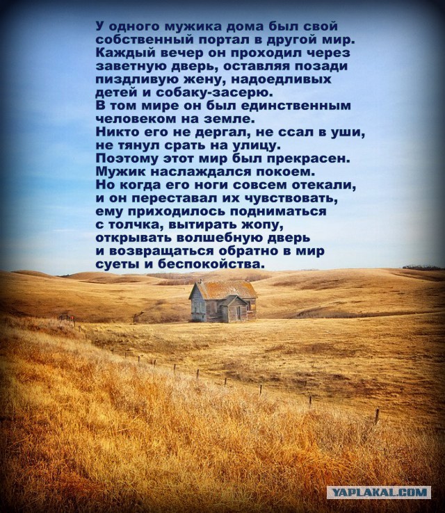 Злая жена