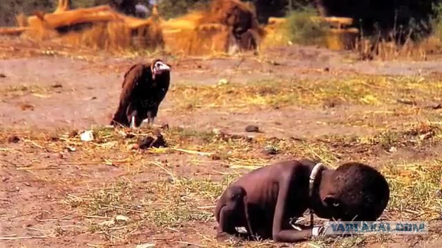 10 самых сексуальных звезд Голливуда с маленькой грудью