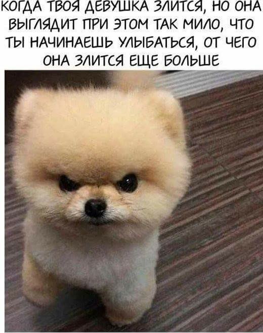 150 картинки для поднятия настроения!