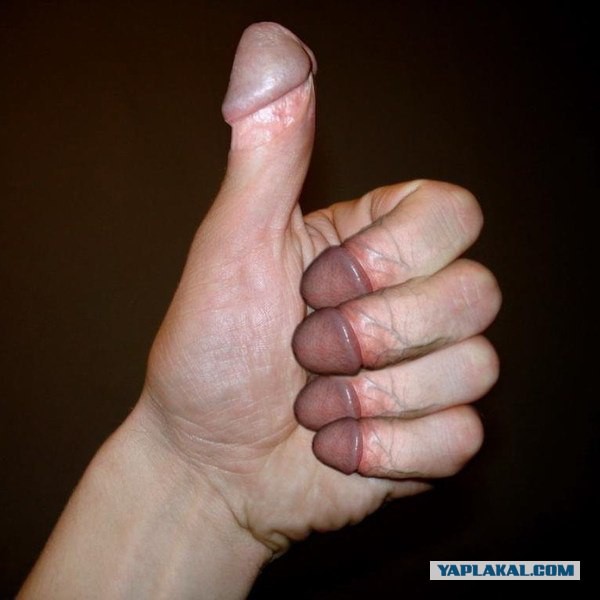 Красивые девушки, измеряющие белье с доставки