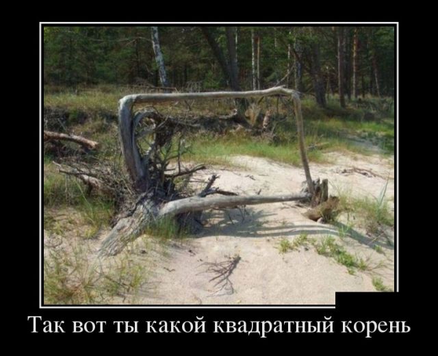 Забавные фото с надписями