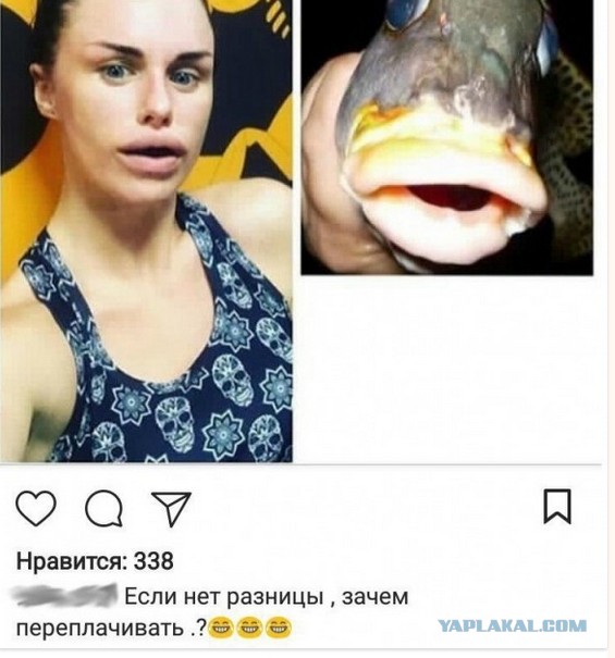 Пятничные соцсети.