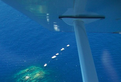 Новогодний завтрак гурмана