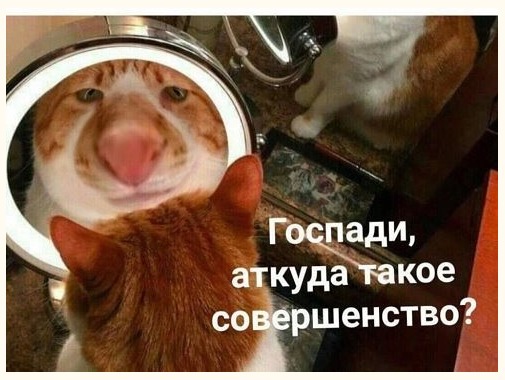 Как стать джедаем