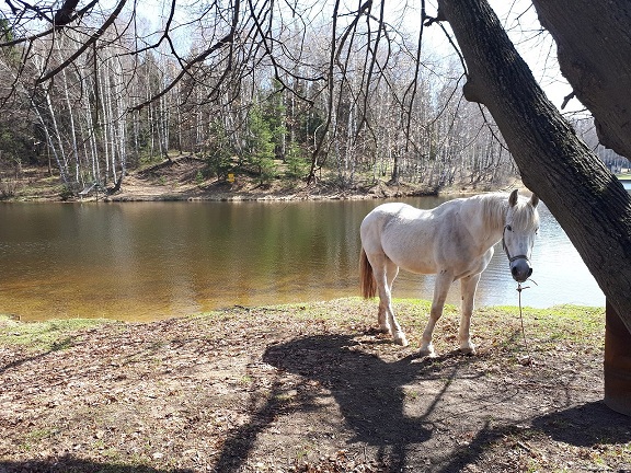 Просто Природа