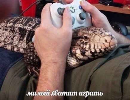 Не очень адекватный юмор