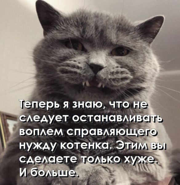 Умные мысли - 9