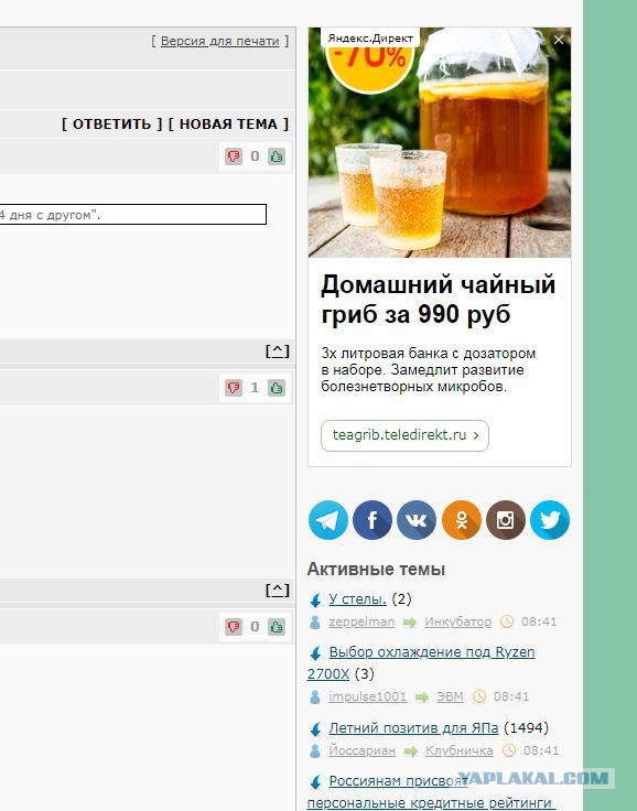 Мифы о чайном грибе