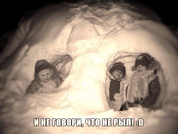 Немного интересных и добрых картинок