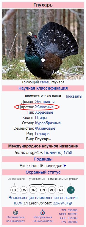 "Когда тебя клюет глухарь — это бесценно"