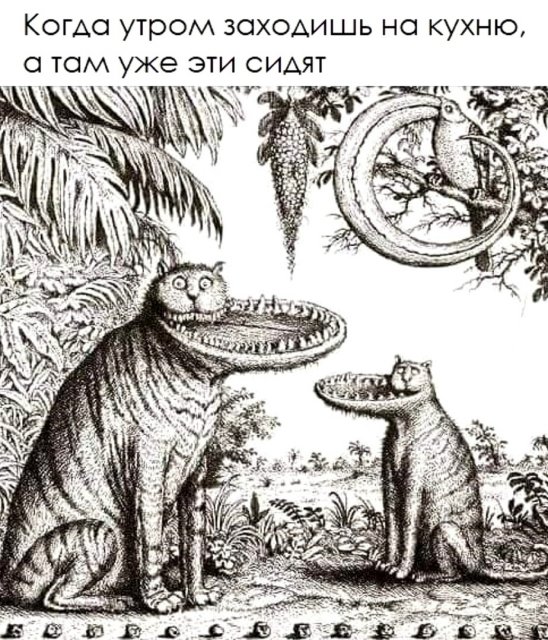 По следам страдающего средневековья