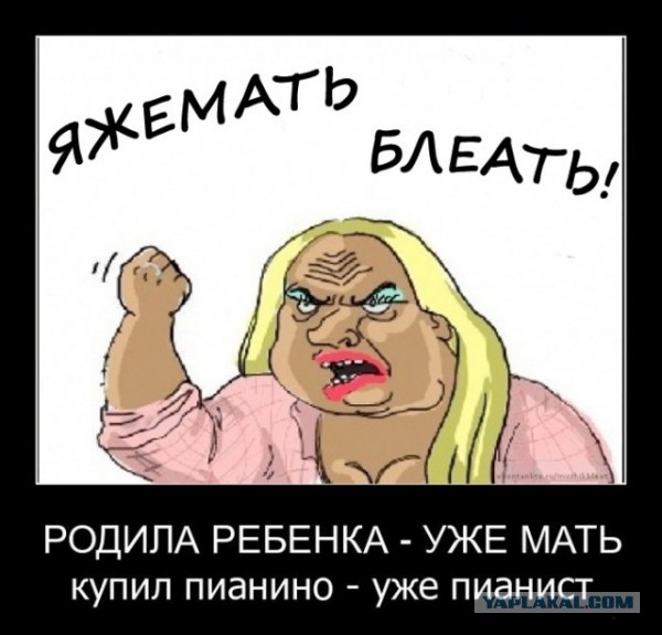 "Яжематеризм" не знает границ и... здравого смысла