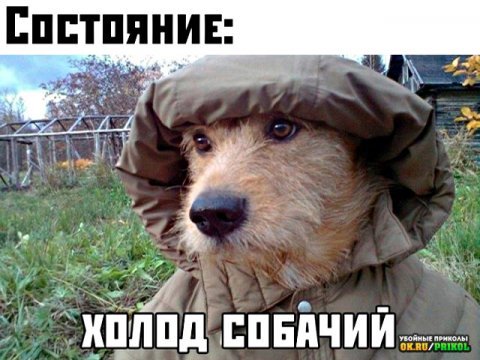 Картинки отовсюду. Часть 3 от 22 октября