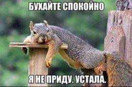 Не очень адекватный юмор