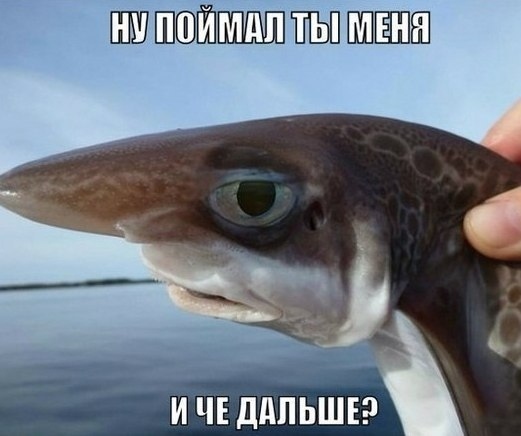 Чуток картинок 21.02.20