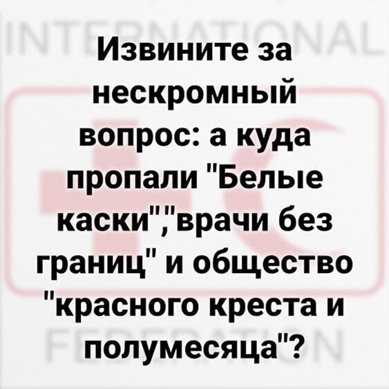 14176583.jpg