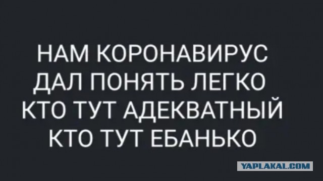 ​Российская семья с тремя детьми ушла жить в лес, чтобы спастись от коронавируса