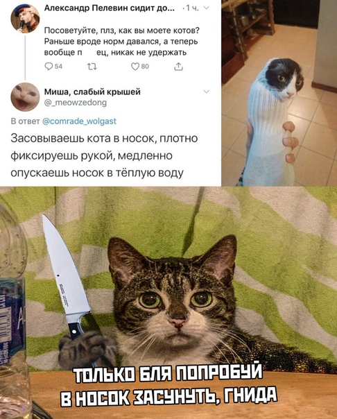 Минтай, форель и осетрина