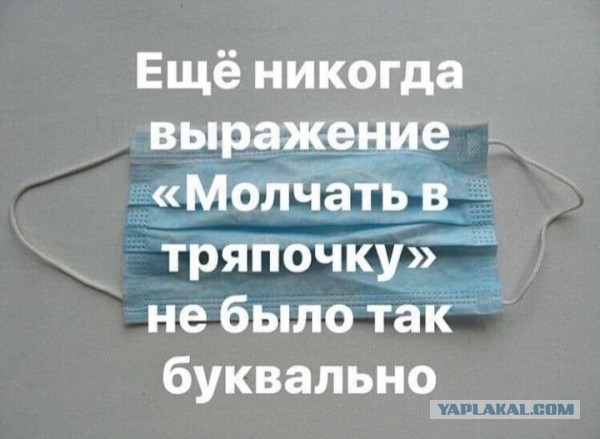 Картинки из рабочего чата 25.04