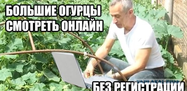 Клещи. Очкую
