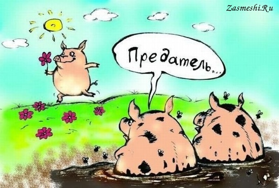 Как туристы, уехавшие надолго на Гоа, теряют свои трудовые навыки и не могут потом найти работу