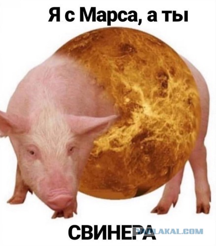 Слова мужчины, прожившего 30 лет в браке