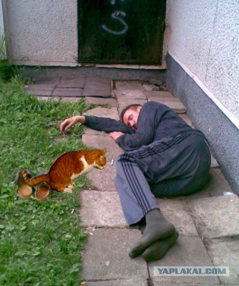 Главное - это культура!