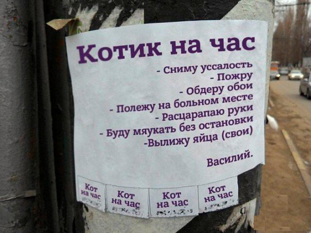 Забавные шутки, картинки и фразы из этих ваших интернетов