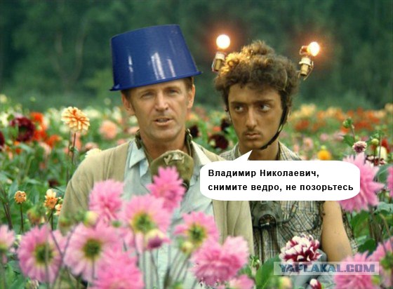 Синее ведро
