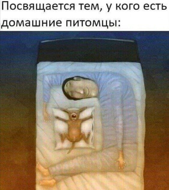 Фотки и картинки: юморные и красивые, забавные и милые 16.11.20