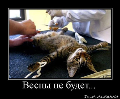 Грязные яйца