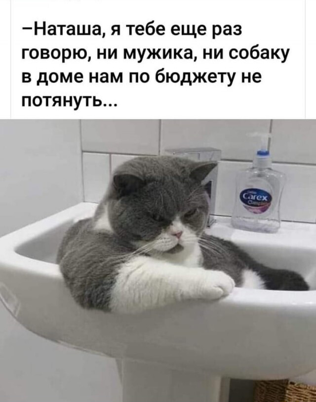 Фотки и картинки: юморные и красивые, забавные и милые 12.04.21