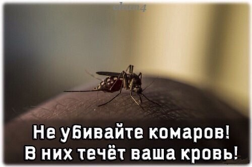 Баянисто-небаянистый юмор 23.08.21