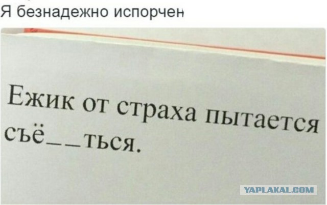 Картинки и мемы, всем прекрасных выходных