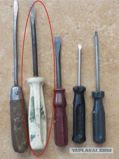 Чем отличается отвёртка за 80 рублей от отвёртки за 1200: все отличия скрыты внутри