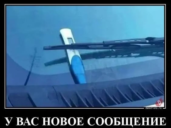 Всяческие картинки 19.01.2022