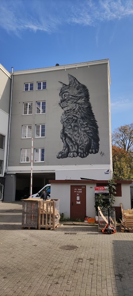 Фотки с телефона.