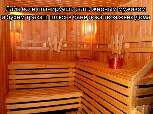 Весёлый полтишок 08.06.2022