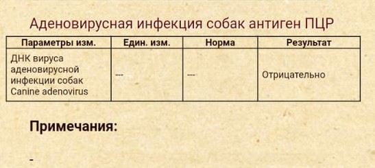 Пандемия съехавших крыш - разновидности болезни. Россия и мир. Часть 40.