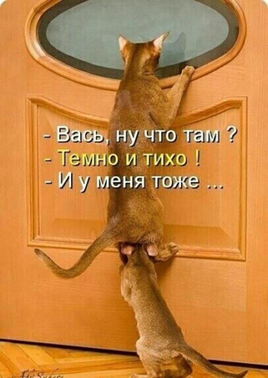 Картинки и мемы для настроения - 111