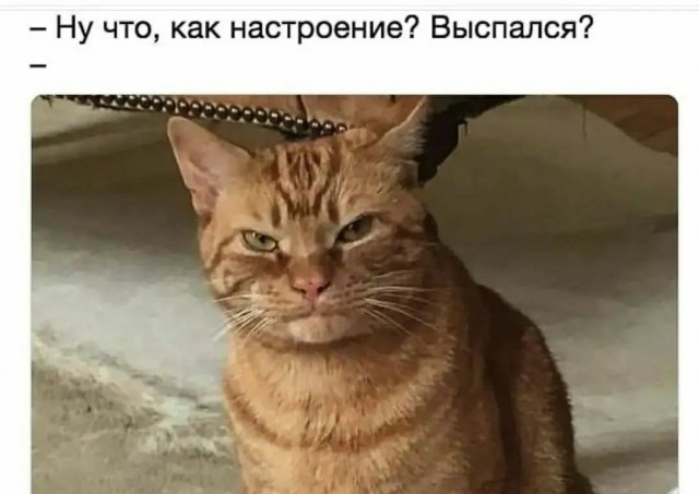 Немного картинок для настроения - 137