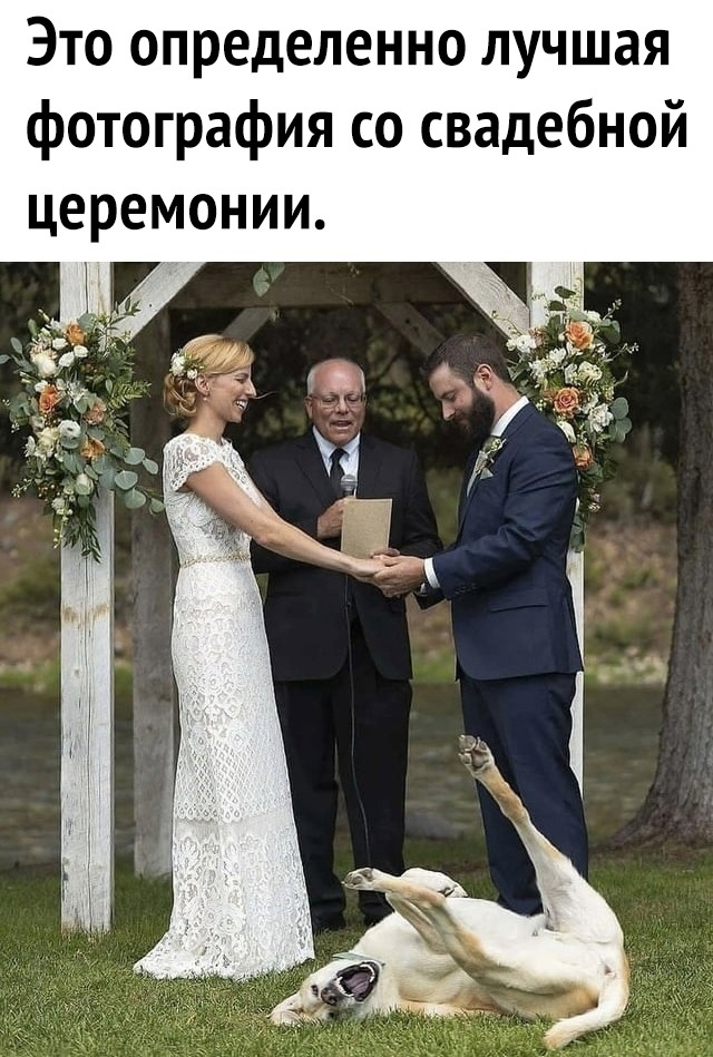 Так себе картинки 03.04.23