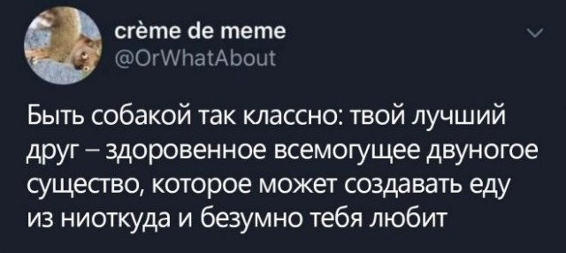 Картинки и мемы, всяко разно - 183