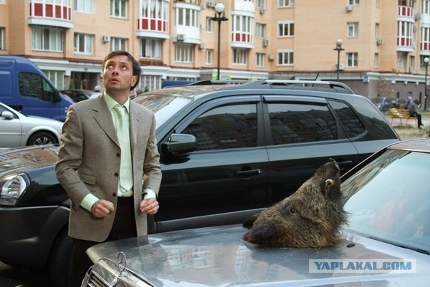 Бибоп