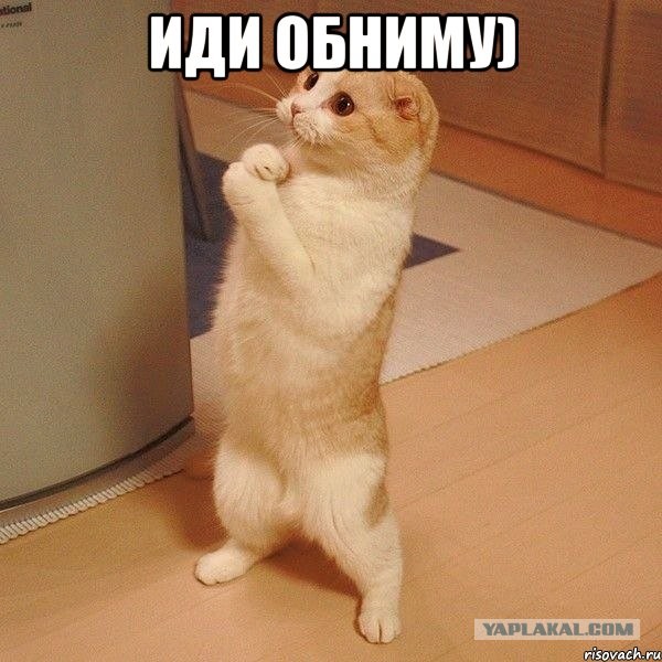 Почему я больше не беру на работу азиатов мигрантов со Средней Азии⁠⁠