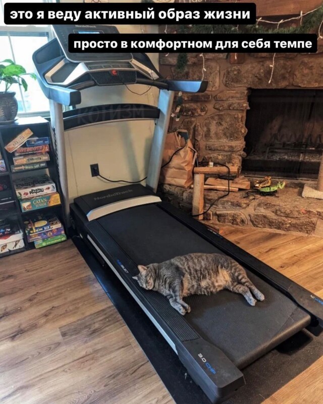 Котомемы 29.09.23