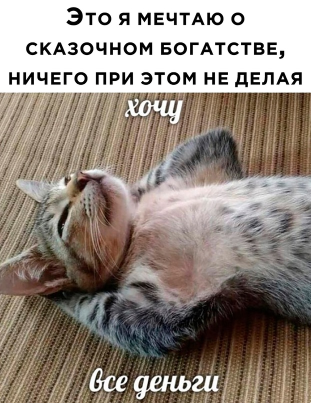 Весёлый полтишок 12.11.23